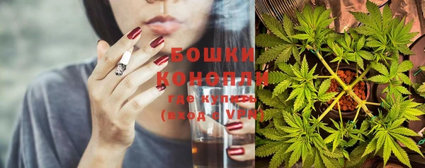 гидропоника Абаза